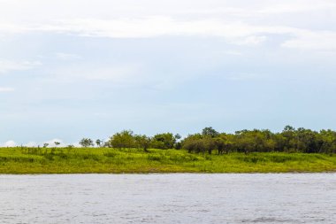 Rio Negro ve Amazon Nehri 'nin suları, tropikal yağmur ormanları ve mavi bulutlu gökyüzü İranduba Manaus Brezilya Eyaleti' ne tekne turunda..