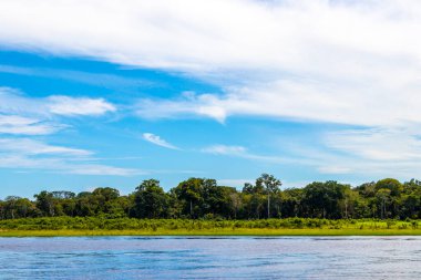 Rio Negro ve Amazon Nehri 'nin suları, tropikal yağmur ormanları ve mavi bulutlu gökyüzü İranduba Manaus Brezilya Eyaleti' ne tekne turunda..