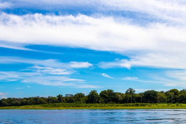 Rio Negro ve Amazon Nehri 'nin suları, tropikal yağmur ormanları ve mavi bulutlu gökyüzü İranduba Manaus Brezilya Eyaleti' ne tekne turunda..