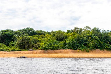 Tropik orman yağmur ormanları ve mavi bulutlu gökyüzü Rio Negro 'nun karasu ile Amazon Nehri' nin Iranduba Manaus Eyaleti Brezilya 'daki beyazsuyunun karıştığı tekne gezisi gezisinde..