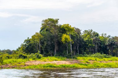 Tropik orman yağmur ormanları ve mavi bulutlu gökyüzü Rio Negro 'nun karasu ile Amazon Nehri' nin Iranduba Manaus Eyaleti Brezilya 'daki beyazsuyunun karıştığı tekne gezisi gezisinde..