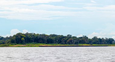 Rio Negro ve Amazon Nehri 'nin suları, tropikal yağmur ormanları ve mavi bulutlu gökyüzü İranduba Manaus Brezilya Eyaleti' ne tekne turunda..