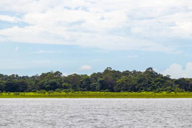 Rio Negro ve Amazon Nehri 'nin suları, tropikal yağmur ormanları ve mavi bulutlu gökyüzü İranduba Manaus Brezilya Eyaleti' ne tekne turunda..