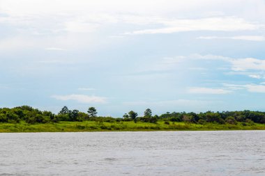 Rio Negro ve Amazon Nehri 'nin suları, tropikal yağmur ormanları ve mavi bulutlu gökyüzü İranduba Manaus Brezilya Eyaleti' ne tekne turunda..