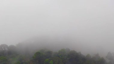 Orman ağaçlı tropik dağ dağları Güneydoğu Asya 'da Güney Tayland' da Patong Sahili Kathu Bölgesi Phuket Adası 'nda gökyüzüne yağmur bulutları ve sisli sis salar..