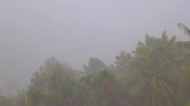 Tropik dağ dağları orman ağaçları yağmur bulutları muson yağmurları ve sis bulutları Güneydoğu Asya 'da Patong Sahili' nde Kathu Phuket Adası 'nda.