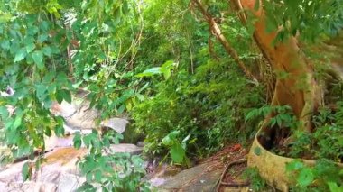 Wang Kee Oan Şelalesi, Güneydoğu Asya 'da Güney Tayland' da Patong Sahili Kathu Bölgesi Phuket Adası 'ndaki nehir suyu kayaları ve tropikal orman doğa ormanlarını taşır..