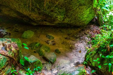 Şelale kireç taşı oluşumları ile mağara ve yağmur ormanları Gruta Palacio do Galo da Serra ve Gruta da önerdi in Presidente Figueiredo State of Amazonas Brezilya.
