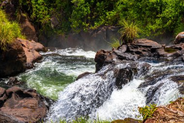 Foz do Iguacu Iguazu Şelalesi Şelaleleri tropikal doğa yağmur ormanı manzaralı çağlayan şelaleler ve Parana Brezilya ve Misiones Arjantin 'de turkuaz yeşil su.