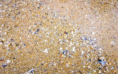 Çakıl taşlı kumsal kumları Güneydoğu Asya 'da Güney Tayland' da Güney Tayland 'da Patong Kalim Sahili Kathu Bölgesi' nde renkli deniz kabukları ve turkuaz mavisi berrak su deseni deseni taşır..