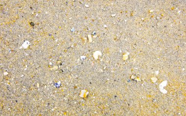 Çakıl taşlı kumsal kumları Güneydoğu Asya 'da Güney Tayland' da Güney Tayland 'da Patong Kalim Sahili Kathu Bölgesi' nde renkli deniz kabukları ve turkuaz mavisi berrak su deseni deseni taşır..