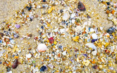 Çakıl taşlı kumsal kumları Güneydoğu Asya 'da Güney Tayland' da Güney Tayland 'da Patong Kalim Sahili Kathu Bölgesi' nde renkli deniz kabukları ve turkuaz mavisi berrak su deseni deseni taşır..