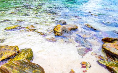 Rocky Kalim Plajı tropikal manzara manzarası turkuaz mavisi berrak su dalgaları ve kayalarla Patong Sahili Kathu Bölgesi Phuket Adası Güney Tayland.