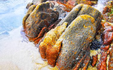 Rocky Kalim Plajı tropikal manzara manzarası turkuaz mavisi berrak su dalgaları ve kayalarla Patong Sahili Kathu Bölgesi Phuket Adası Güney Tayland.