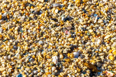 Çakıl taşlı kumsal kumları Güneydoğu Asya 'da Güney Tayland' da Güney Tayland 'da Patong Kalim Sahili Kathu Bölgesi' nde renkli deniz kabukları ve turkuaz mavisi berrak su deseni deseni taşır..