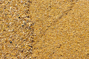 Çakıl taşlı kumsal kumları Güneydoğu Asya 'da Güney Tayland' da Güney Tayland 'da Patong Kalim Sahili Kathu Bölgesi' nde renkli deniz kabukları ve turkuaz mavisi berrak su deseni deseni taşır..