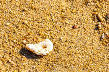 Çakıl taşlı kumsal kumları Güneydoğu Asya 'da Güney Tayland' da Güney Tayland 'da Patong Kalim Sahili Kathu Bölgesi' nde renkli deniz kabukları ve turkuaz mavisi berrak su deseni deseni taşır..