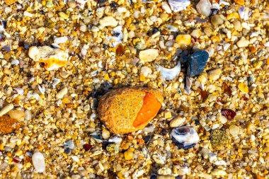 Çakıl taşlı kumsal kumları Güneydoğu Asya 'da Güney Tayland' da Güney Tayland 'da Patong Kalim Sahili Kathu Bölgesi' nde renkli deniz kabukları ve turkuaz mavisi berrak su deseni deseni taşır..
