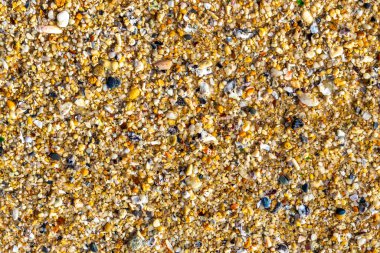 Çakıl taşlı kumsal kumları Güneydoğu Asya 'da Güney Tayland' da Güney Tayland 'da Patong Kalim Sahili Kathu Bölgesi' nde renkli deniz kabukları ve turkuaz mavisi berrak su deseni deseni taşır..