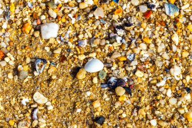 Çakıl taşlı kumsal kumları Güneydoğu Asya 'da Güney Tayland' da Güney Tayland 'da Patong Kalim Sahili Kathu Bölgesi' nde renkli deniz kabukları ve turkuaz mavisi berrak su deseni deseni taşır..