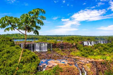 Foz do Iguacu Iguazu Şelalesi Şelaleleri tropikal doğa yağmur ormanı manzaralı çağlayan şelaleler ve Parana Brezilya ve Misiones Arjantin 'de turkuaz yeşil su.