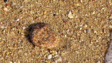 Çakıl taşlı kumsal kumları Güneydoğu Asya 'da Güney Tayland' da Patong Kalim Sahili Kathu Bölgesi Phuket Adası 'nda renkli deniz kabukları ve turkuaz mavisi berrak su deseni deseni taşır..