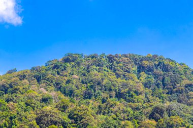 Tropical mountain with jungle forest trees plants clouds and blue sky in Patong Beach Kathu District Phuket Island Province Southern Thailand in Southeast Asia.