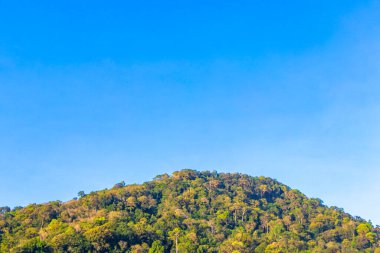 Tropical mountain with jungle forest trees plants clouds and blue sky in Patong Beach Kathu District Phuket Island Province Southern Thailand in Southeast Asia.