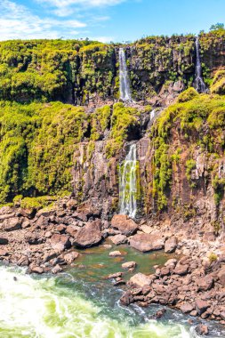 Foz do Iguacu Iguazu Şelalesi Şelaleleri tropikal doğa yağmur ormanı manzaralı çağlayan şelaleler ve Parana Brezilya ve Misiones Arjantin 'de turkuaz yeşil su.