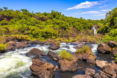 Foz do Iguacu Iguazu Şelalesi Şelaleleri tropikal doğa yağmur ormanı manzaralı çağlayan şelaleler ve Parana Brezilya ve Misiones Arjantin 'de turkuaz yeşil su.