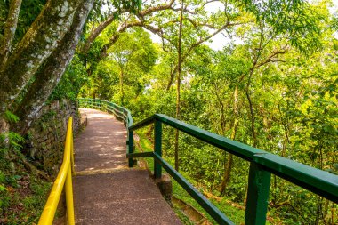 Foz do Iguacu Iguazu Şelalesi Şelaleleri tropikal doğa manzaralarında şelaleler mavi gökyüzü ve turkuaz yeşil sular Parana Brezilya ve Misiones Arjantin 'de.