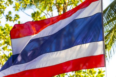 Thai flag blowing in the wind in tropical nature and blue sky in Patong Beach Kathu District Phuket Island Province Southern Thailand in Southeast Asia.