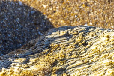 Güneydoğu Asya 'da Patong Sahili' nde Kathu Bölgesi Phuket Adası 'ndaki Turkuaz yeşil ve mavi sularda mercan mercan çakıl taşları ve kaya kayaları..