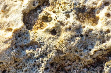 Güneydoğu Asya 'da Patong Sahili' nde Kathu Bölgesi Phuket Adası 'ndaki Turkuaz yeşil ve mavi sularda mercan mercan çakıl taşları ve kaya kayaları..