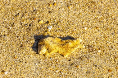 Güneydoğu Asya 'da Patong Sahili' nde Kathu Bölgesi Phuket Adası 'ndaki Turkuaz yeşil ve mavi sularda mercan mercan çakıl taşları ve kaya kayaları..