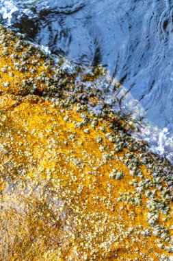 Deniz kıyısındaki kayalıklarda midye turkuvaz yeşil su Ilha Grande Büyük Adası Angra dos Reis Rio de Janeiro Brezilya.