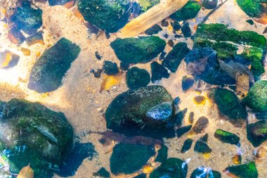 Kalim Sahili tropik kayalık manzara manzarası turkuvaz mavisi berrak su dalgaları Ilha Grande Büyük Adası 'nda kum ve kaya kayaları Angra dos Reis Rio de Janeiro Brezilya.