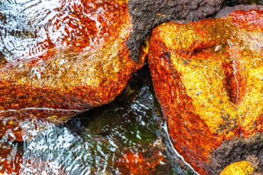 Kalim Sahili tropik kayalık manzara manzarası turkuvaz mavisi berrak su dalgaları Ilha Grande Büyük Adası 'nda kum ve kaya kayaları Angra dos Reis Rio de Janeiro Brezilya.