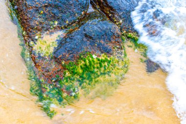 Kalim Sahili tropik kayalık manzara manzarası turkuvaz mavisi berrak su dalgaları Ilha Grande Büyük Adası 'nda kum ve kaya kayaları Angra dos Reis Rio de Janeiro Brezilya.