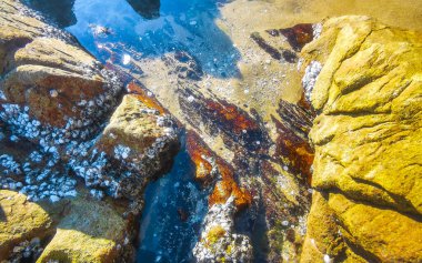 Güneydoğu Asya 'da Güney Tayland' da Patong Sahili Kathu Bölgesi Phuket Adası Bölgesi 'nde turkuaz yeşil sularda kaya kaya midyeleri..
