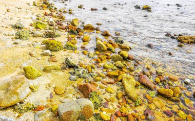 Kalim Sahili tropikal kayalık manzara manzarası turkuaz mavisi berrak su dalgaları ile Patong Sahili Kathu Bölgesi Phuket Adası Güney Tayland 'da kum ve kayalar.