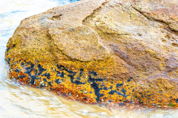 Kalim Sahili tropik kayalık manzara manzarası turkuvaz mavisi berrak su dalgaları Ilha Grande Büyük Adası 'nda kum ve kaya kayaları Angra dos Reis Rio de Janeiro Brezilya.