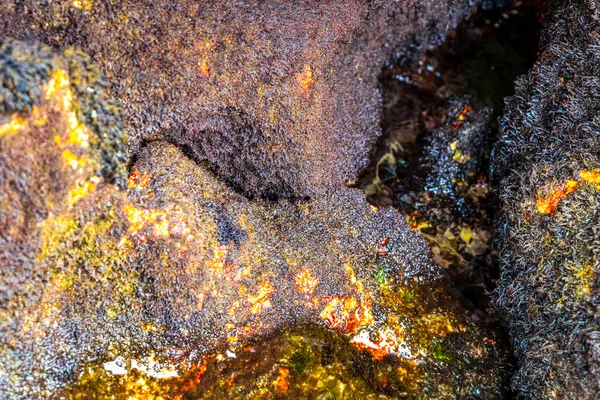 Kalim Sahili tropik kayalık manzara manzarası turkuvaz mavisi berrak su dalgaları Ilha Grande Büyük Adası 'nda kum ve kaya kayaları Angra dos Reis Rio de Janeiro Brezilya.