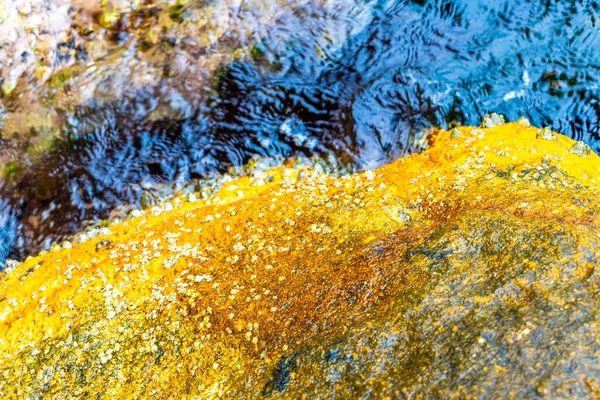 Deniz kıyısındaki kayalıklarda midye turkuvaz yeşil su Ilha Grande Büyük Adası Angra dos Reis Rio de Janeiro Brezilya.