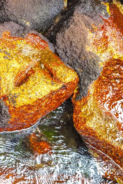 Kalim Sahili tropik kayalık manzara manzarası turkuvaz mavisi berrak su dalgaları Ilha Grande Büyük Adası 'nda kum ve kaya kayaları Angra dos Reis Rio de Janeiro Brezilya.