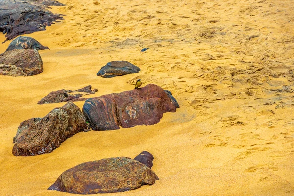 Kalim Sahili tropik kayalık manzara manzarası turkuvaz mavisi berrak su dalgaları Ilha Grande Büyük Adası 'nda kum ve kaya kayaları Angra dos Reis Rio de Janeiro Brezilya.