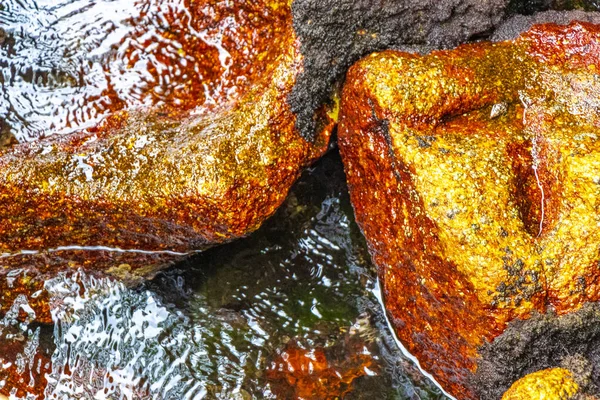 Kalim Sahili tropik kayalık manzara manzarası turkuvaz mavisi berrak su dalgaları Ilha Grande Büyük Adası 'nda kum ve kaya kayaları Angra dos Reis Rio de Janeiro Brezilya.