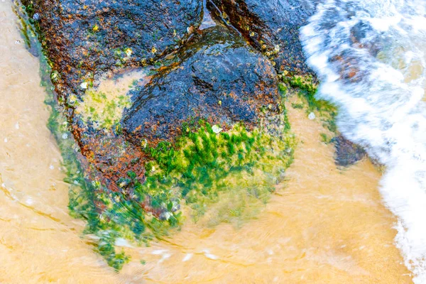 Kalim Sahili tropik kayalık manzara manzarası turkuvaz mavisi berrak su dalgaları Ilha Grande Büyük Adası 'nda kum ve kaya kayaları Angra dos Reis Rio de Janeiro Brezilya.
