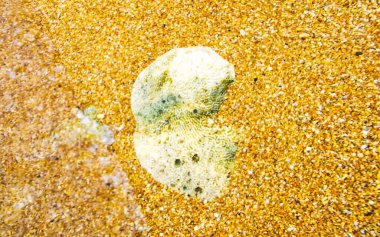 Güneydoğu Asya 'da Patong Sahili' nde Kathu Bölgesi Phuket Adası 'ndaki Turkuaz yeşil ve mavi sularda mercan mercan çakıl taşları ve kaya kayaları..