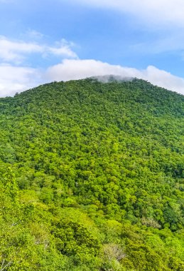 Orman yağmur ormanları olan tropik dağ tepesi Ilha Grande Büyük Adası Angra dos Reis Rio de Janeiro Brezilya 'da palmiye ağaçları bulutları ve mavi gökyüzü..